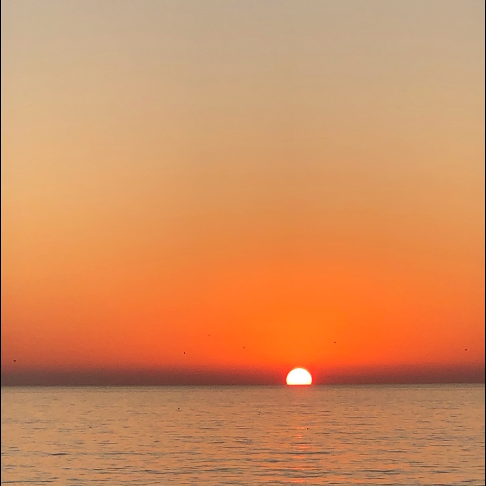 Meet your Posher, Maddy